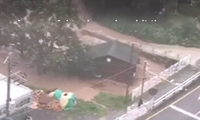 Nhà cửa, ô tô cuốn trôi trong mưa lũ ở Hàn Quốc