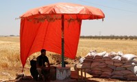 Một tay súng của nhóm Quân đội Syria Tự do ngồi nghỉ dưới bóng râm ở làng al-Nuaimah, thành phố Derra ngày 17/6. Ảnh: Reuters