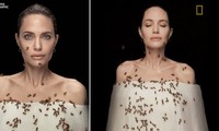 Angelina Jolie nhịn tắm 3 ngày, để ong bâu kín người chụp ảnh