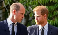 Hoàng tử Harry chỉ trích Hoàng gia Anh, công kích William
