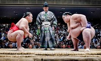 Tại sao đấu vật sumo chỉ được mặc khố?