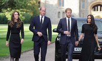 Vua Charles, William - Kate và Harry - Meghan đều bị sụt giảm danh tiếng