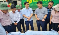 Làm rõ 700 căn nhà không phép tại một phường trong dự án cao tốc Biên Hòa - Vũng Tàu