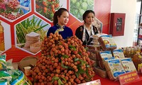 Hàng nghìn thương nhân đổ bộ về Bắc Giang thu mua vải thiều