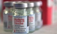 Bộ Y tế đề nghị TP.HCM khẳng định việc mua 5 triệu liều vắc xin Moderna trước 15/8