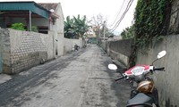 Khốn khổ vì bụi than