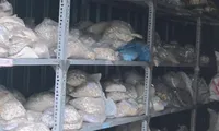 Những người sống cùng xác chết ở nghĩa trang Bình Hưng Hòa