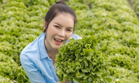 Vườn rộng chục nghìn m2 của sao Việt