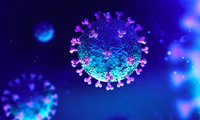 Hình ảnh virus corona