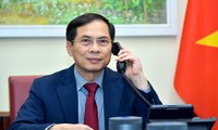 Thứ trưởng Bùi Thanh Sơn tại cuộc điện đàm. (Ảnh: Mofa)