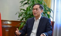 Bộ trưởng Ngoại giao Bùi Thanh Sơn. (Ảnh: Mofa)