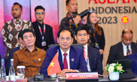 Bộ trưởng Ngoại giao Bùi Thanh Sơn dự AMM 56 tại Indonesia. (Ảnh: Mofa)