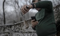 Chuột quấy rầy cả binh lính Nga và Ukraine trên chiến trường. (Ảnh: Getty)