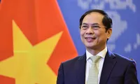 Bộ trưởng Ngoại giao Bùi Thanh Sơn. (Ảnh: BNG)