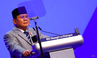 Indonesia sẵn sàng cử lực lượng gìn giữ hoà bình đến Dải Gaza