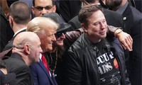 Tổng thống đắc cử Mỹ Donald Trump chụp ảnh cùng Dana White, Kid Rock và Elon Musk tại UFC 309 tại Madison Square Garden ngày 16/11. (Ảnh: AP)