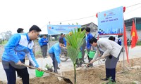 Tuổi trẻ Nghệ An hưởng ứng ngày cao điểm Tình nguyện xây dựng đô thị văn minh