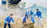 Tuổi trẻ Nghệ An với những con số ấn tượng cao điểm xây dựng nông thôn mới