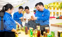 Tuổi trẻ Nghệ An Tháng Thanh niên tình nguyện vì cộng đồng