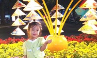 Lung linh đêm Vũng Tàu Tết Quý Mão