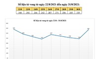 Số ca tử vong vì COVID-19 ở TPHCM bất ngờ tăng nhanh
