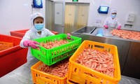 Lao động nghỉ việc hưởng trợ cấp thất nghiệp tăng
