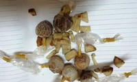 Ăn nhầm bả chó, bệnh nhi 2 tuổi nguy kịch