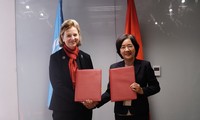 Trường ĐH Fulbright Việt Nam kết hợp cùng UNDP nghiên cứu chính sách kinh tế Việt Nam 