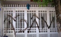 Vợ nguyên Viện phó VKS Đà Nẵng Nguyễn Hữu Linh gửi đơn tố cáo bị làm nhục