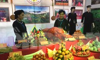 Dịp tết So Lộc, người Tày- Nùng Lạng Sơn chu đáo chuẩn bị các món ăn đặc sản vùng miền để giới thiệu, khoản đãi người thân, du khách -Ảnh: Duy Chiến 