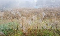 Băng giá xuất hiện trên đỉnh Mẫu Sơn -Ảnh: HT