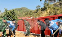 Trồng cây, gây rừng tại biên giới Ba Sơn, huyện Cao Lộc, Lạng Sơn -Ảnh: Duy Chiến 