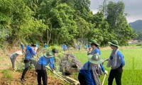 Sắc xanh trên quê hương xứ Lạng