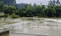 Hiện trường sự việc. 