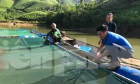 Chàng trai 9x nuôi cá trên lòng hồ thủy điện, thu trăm triệu mỗi năm