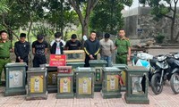 Bắt ổ nhóm chuyên trộm két sắt của đền, chùa