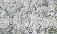 Ngắm băng tuyết phủ trắng đỉnh núi trong giá lạnh -3 độ C