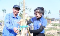 Tuổi trẻ Nghệ An trồng hơn 5.300 cây xanh hưởng ứng Tết trồng cây