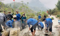 Hơn 800 công trình, phần việc ý nghĩa của tuổi trẻ Nghệ An trong Tháng Thanh niên