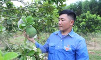 Mở trang trại thu hàng trăm triệu đồng