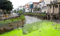Kênh hào thành cổ ở Nghệ An đen đặc, ô nhiễm nghiêm trọng