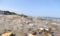 Bèo tây, rác thải bủa vây bờ biển Nghệ An