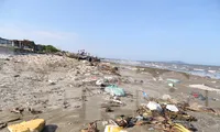 Bèo tây, rác thải bủa vây bờ biển Nghệ An