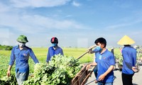 Giúp người dân &apos;giải cứu&apos; hơn 20 tấn rau xanh chỉ trong một buổi sáng