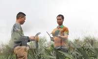 Rời công việc thuyền trưởng với mức lương khá để về làm nông