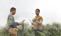 Rời công việc thuyền trưởng với mức lương khá để về làm nông