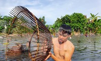 ‘Nơm thủ’ thu tiền triệu sau vài giờ săn cá ở Nghệ An