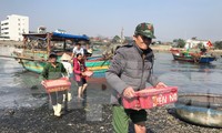 Thuyền ra khơi trúng đậm, đội bốc vác thuê tất bật những ngày đầu năm