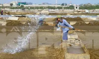 Diêm dân nhọc nhằn đội nắng giữa đồng