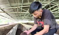 Chàng trai kiếm tiền tỉ nhờ chất thải heo